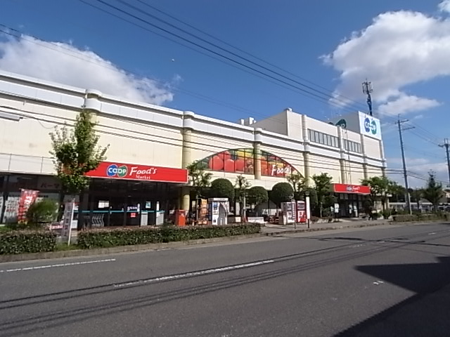 その他写真6