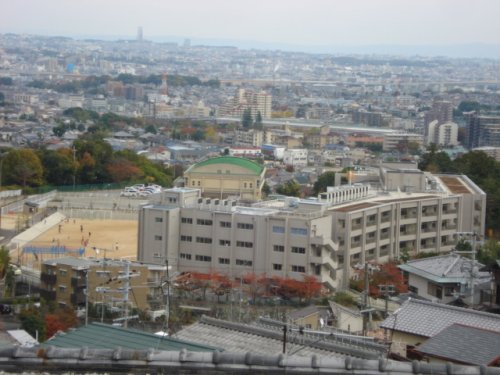 その他写真9