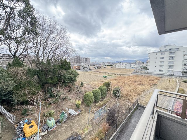 その他写真10