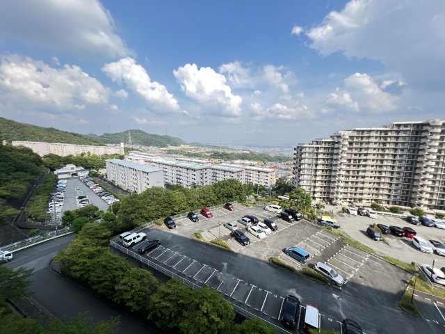 その他写真9
