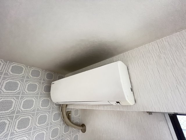 その他写真9