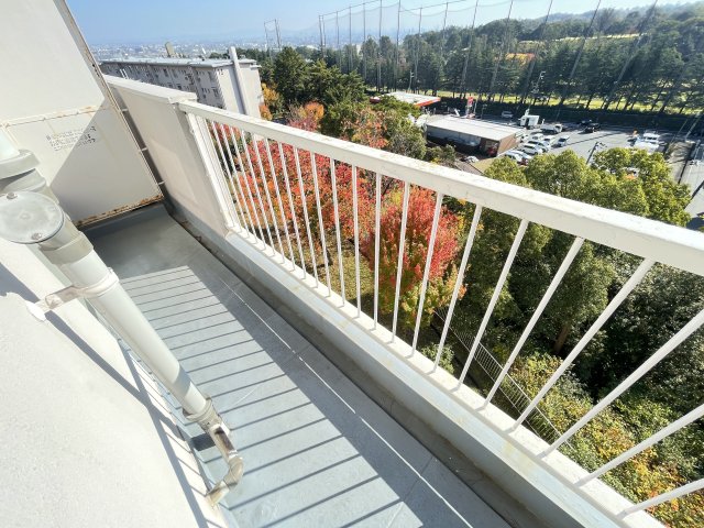 その他写真8